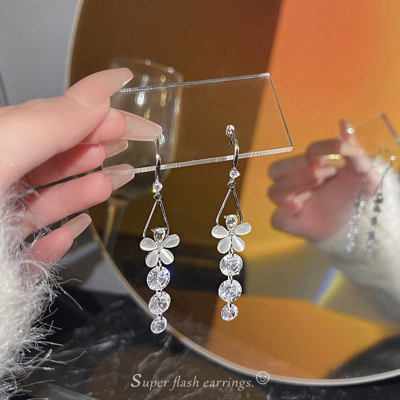 Silver Needle Long Fringed Zircon Earrings